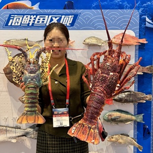 �����rģ�Ͱ��������Ű��������t�����ʽ���r����չ̨�[�OƷ����