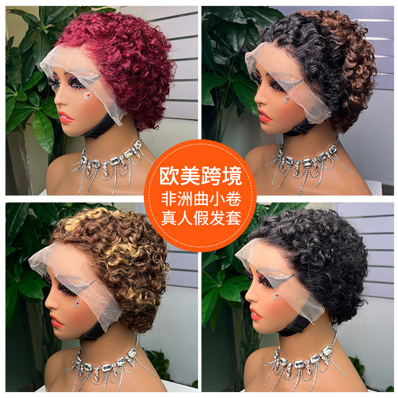 Real person hair silk front lace 13x 4 elf short curly hair real hair full head cover short hair side curly wavy wig