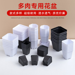 熱売透水通気八角盆小白方多肉植木鉢プラスチック方形植物葉挿し育苗盆黒方盆