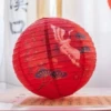 Peach Blossom Crane Lantern
