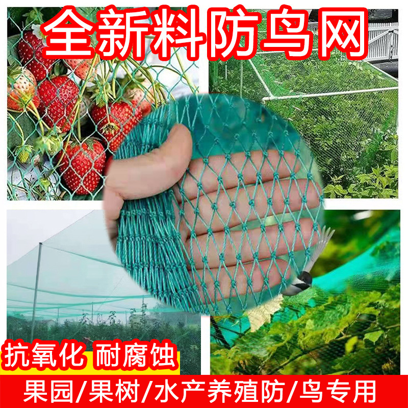防鸟网聚乙烯网防风网养鱼网养鸡网爬藤网球场围网水产养殖网顶网