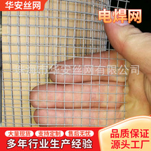 抹墙电焊网卷304不锈钢电焊网 防鼠蛇笼电焊铁丝网筛网龟甲网