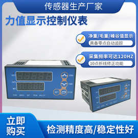 隆旅NJY-105智能型力值显示控制仪称重扭矩传感器控制显示仪表
