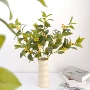 植物仿真摄影叶子桂花树