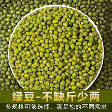 �G��5��500g���b���G���r�҃��x���r���G���F؛���l֧����̴��l
