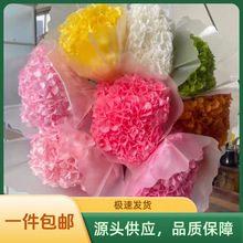 大叶绣球永生花单枝大叶绣球干花婚庆背景墙搭配装饰花材一件包邮