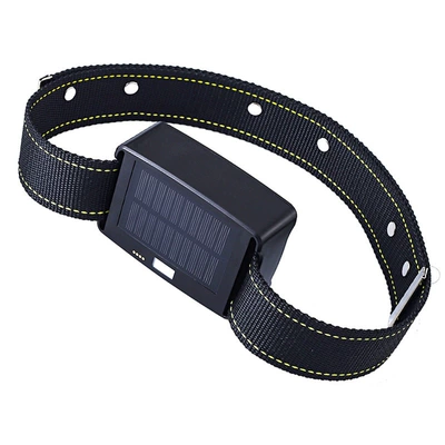 Grazing Collar, GPS Locator