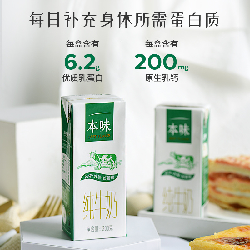 云南新希望雪兰牛奶 本味纯牛奶早餐奶盒装厂家批发200g*12