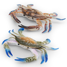 �羳���溣������̖�зģ�ͺ����������c����з��з�b[��