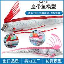 �羳��ͯʵ�ķ��溣������߻ʴ�������������������֪�ڼ�