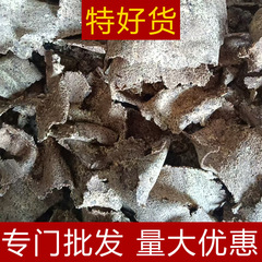 0.5kg 大量購入割引 新鮮茶粕茶種餅 茶粕 植物性食品 果物と野菜 水産養殖 洗髪と育毛