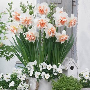 ��ˮ�ɷN���҃���������ͺ��ļ��_�����B�׻�ˮ�ɻ�����ˮ��ֲ��