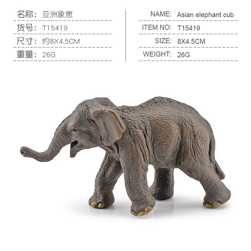 Transfronterizo de exportación mini modelo animal de simulación oso pardo cola blanca ciervo canguro Kaola ardilla decoración juguete