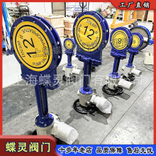 F؛늄մɵly PZ973TC-10C DN300wݔĥy