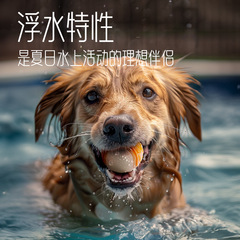 宠物狗弹力球夜光玩具耐咬实心球橡胶啃咬玩具球户外投掷寻回训练