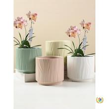 ?���膡�⺆�s���Î��бP����̖���yins�L���m��������m��