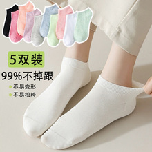�ļ����ɫ���m���mŮʿ����͸���m��Ů�\���m�����ɫ�\�ڳ��m