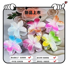 亚马逊新款热销 镀彩喷漆鸡蛋花抓夹糖果色后脑勺女发夹树脂抓夹