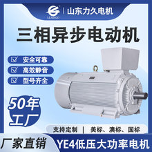 YE4�͉�����늙C200-1000KW�o�������ͱ�늙C��s��늙C�L�C�