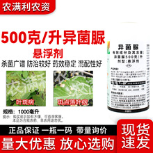 异菌脲杀菌剂正品保证热销杀菌剂农药苹果树斑点落叶叶斑病杀菌药