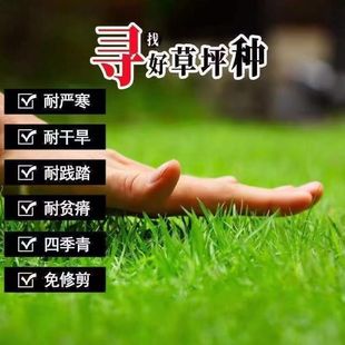 ��ƺ�ļ���N�Ӳ����ļ������ͺ��G���ͺ��޼��o��ͥԺ��Ƥ�e��
