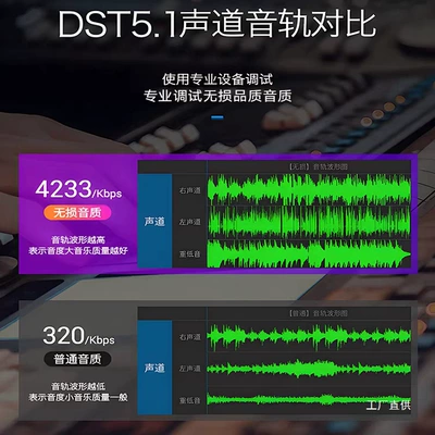 Lossless Quality Popular Music USB — Car DVD player