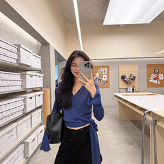 蓝色高级气质短款上衣女春秋季轻薄长袖针织衫薄款上装打底衫百搭