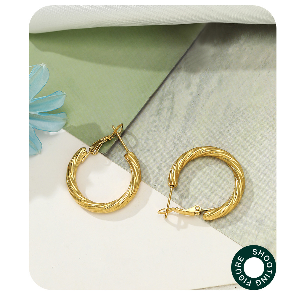 Fashion Circle Stainless Steel Plating Earrings 1 Pair