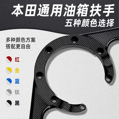 Modified Rear Passenger Handle | Motorcycle Safety Supplies