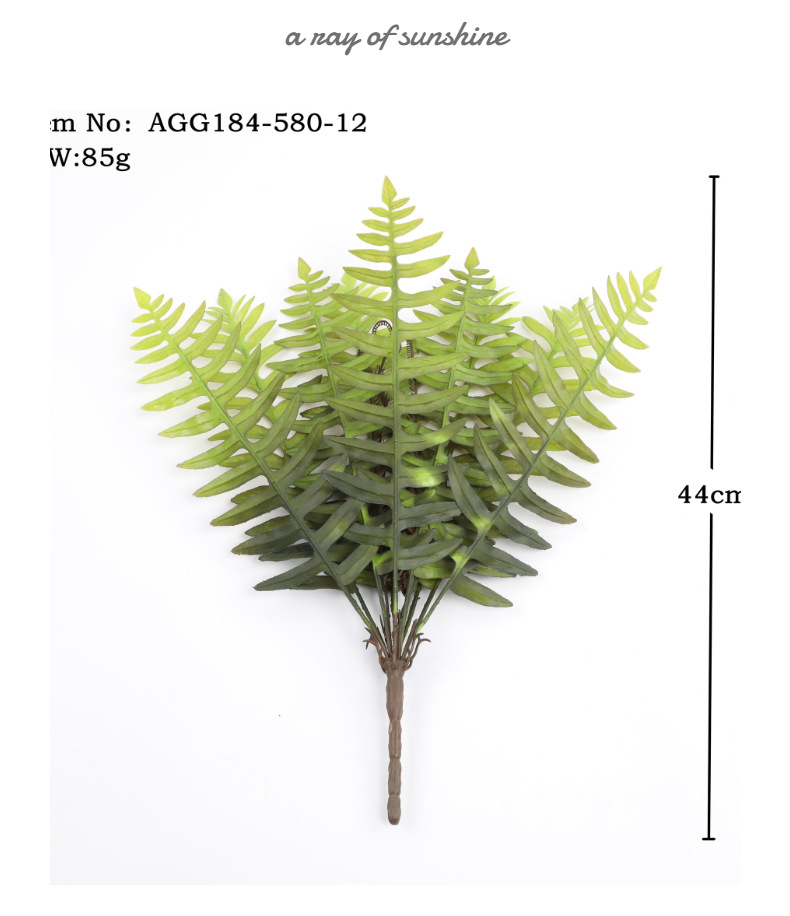 模特展示3 (5).jpg