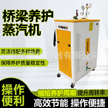 混凝土蒸汽养护机桥梁全自动加热蒸汽设备电加热蒸汽发生器