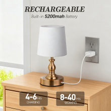 ��ʽ���s���~ɫ̨�����Ҵ��^�������͏d�Wʽusb��ܰ����鷿�b�