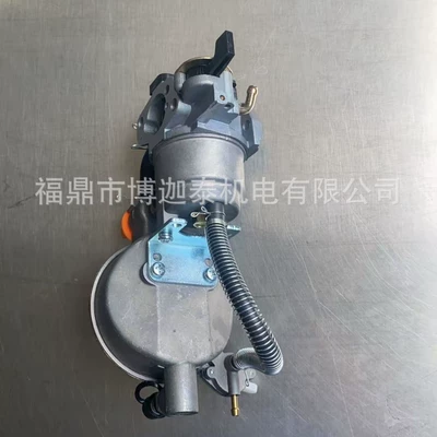 Lpg Ng 168F Gx160 Carburetor