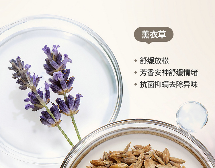 26-Year-Old Brand New Health-Preserving Buckwheat Lavender-Filled Linen Universal Car Seat Cushion Cover for All Seasons International Platform