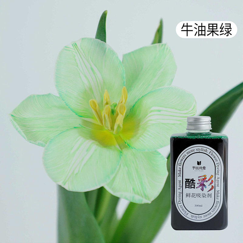 Aponente de color económico (aguacate verde/300ml); variedad de opciones