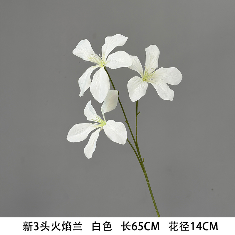 New 3-head flame orchid white