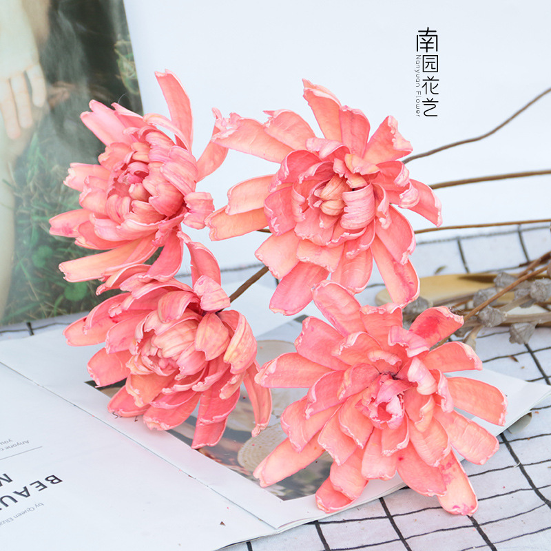 熱賣鹿韭乾花花束仿真植物手工藝術會所家居裝飾擺件創意拍照道具