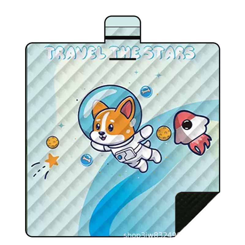 개 우주 비행사