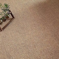 まねる剣麻の写真撮影のじゅうたんの猫の爪の板の日本式の民宿の客間の寝室の家庭用の窓の影楼の事務室のじゅうたんのマット