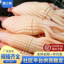 火箭鱿鱼花冷冻鱿鱼须新鲜乌贼捞汁火锅冒菜麻辣烫原料批发商用