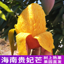 �����F��â�����râ��ˮ�������ǘ�����t��������â���������l
