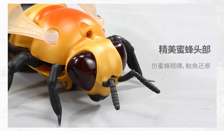 遥控蜜蜂-750_13.jpg