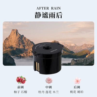 New Model of Car Fragrance: Car Perfume Aromatherapy - quiet-after-the-rain-1-incense-box