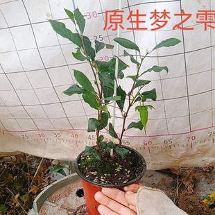 ���f���辰�زĶ�������AӋ�Bһ����Ժðl؛��ĸ����