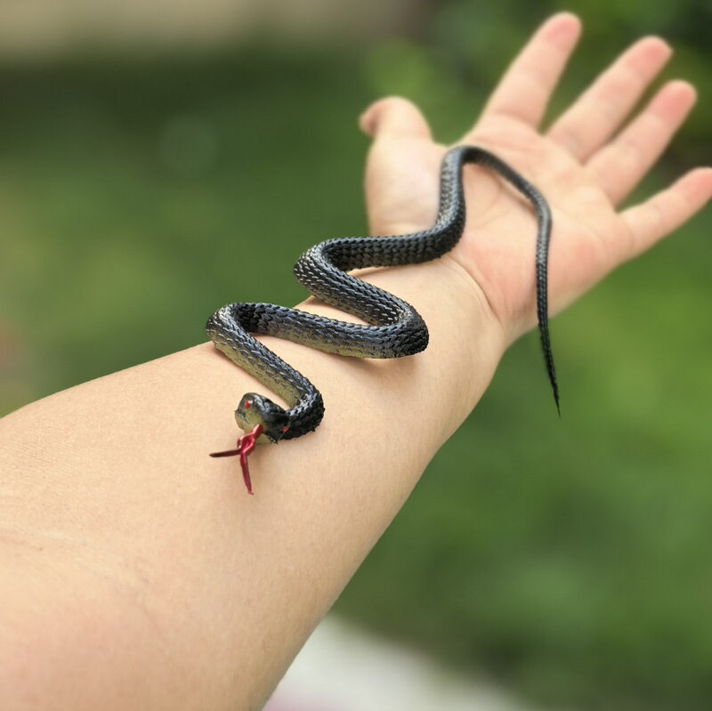 Simulated Snake, Fake Snake, Small Snake, Soft Rubber Snake, Plastic Prank Toy, Foreign Trade Gift Simulated Snake, Fake Snake, Small Snake, Soft Rubber Snake, Plastic Prank Toy, Foreign Trade Gift