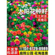 ذ̫ꖻNļ_@С^ͥԺeҰMϻN