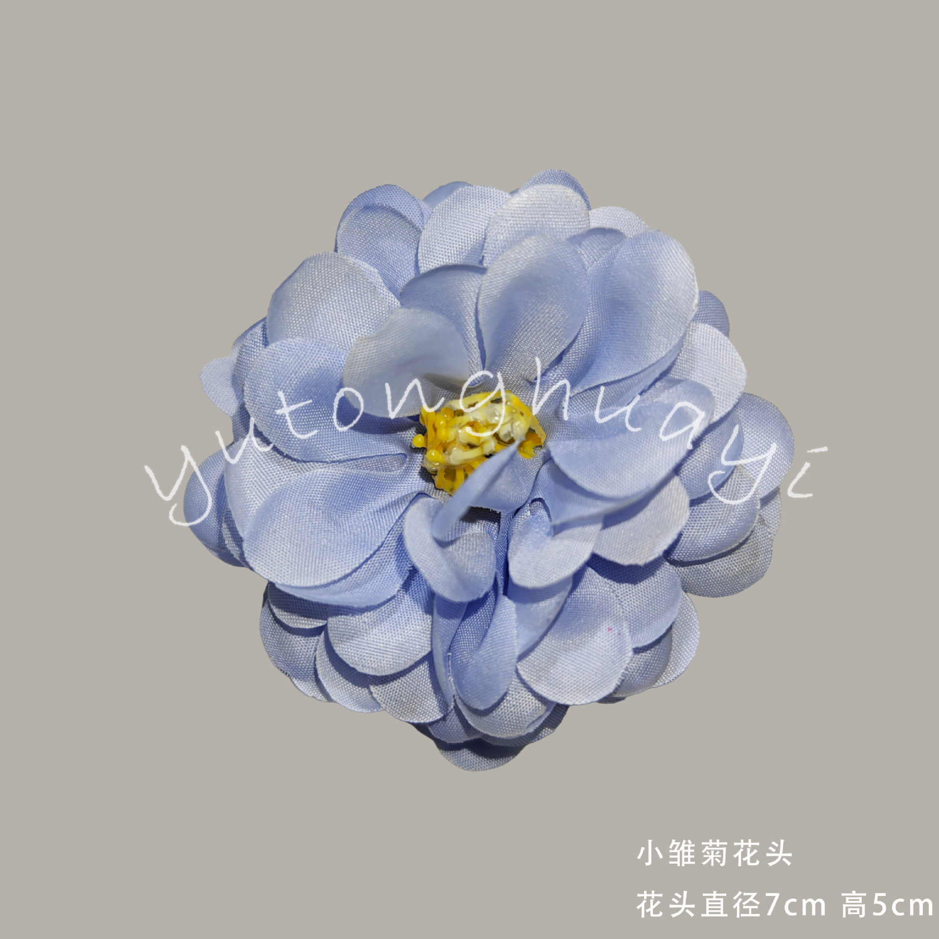 Daisy flowers - blue