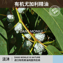 �����ЙC�ȼ������͆η�ֲ�����s���~��ԭ���{����޹�o�w�S�����l