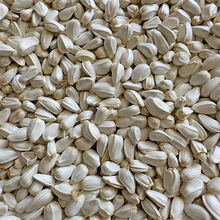 红花籽 红花子 仓鼠 鹦鹉 鸟食 鸟粮 鸽粮 批发新疆红花籽