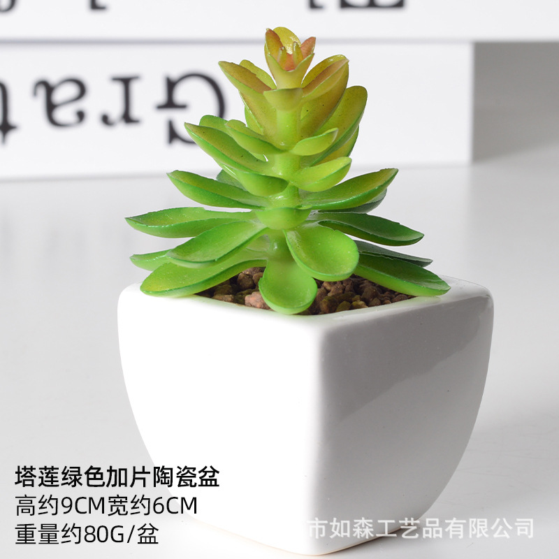 Simulación de cerámica bonsai de carne doméstica decoración de escritorio de oficina plantación verde maceta props de disparo maceta combinada artificial image 35